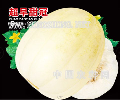 超早甜冠